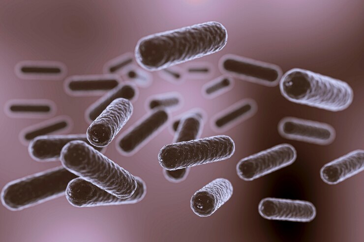 Bacterias resistentes y trasplante fecal