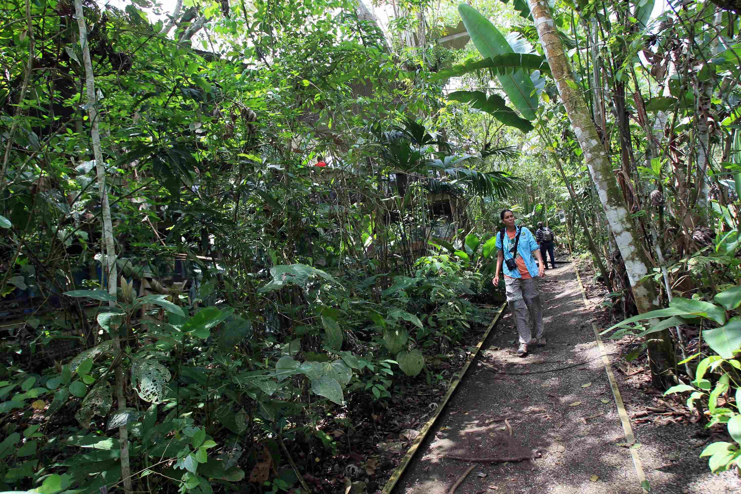 EFE/Alejandro Bolívar.