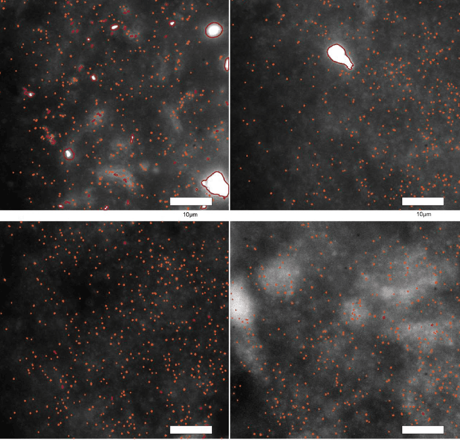 Universidad de Cambridge