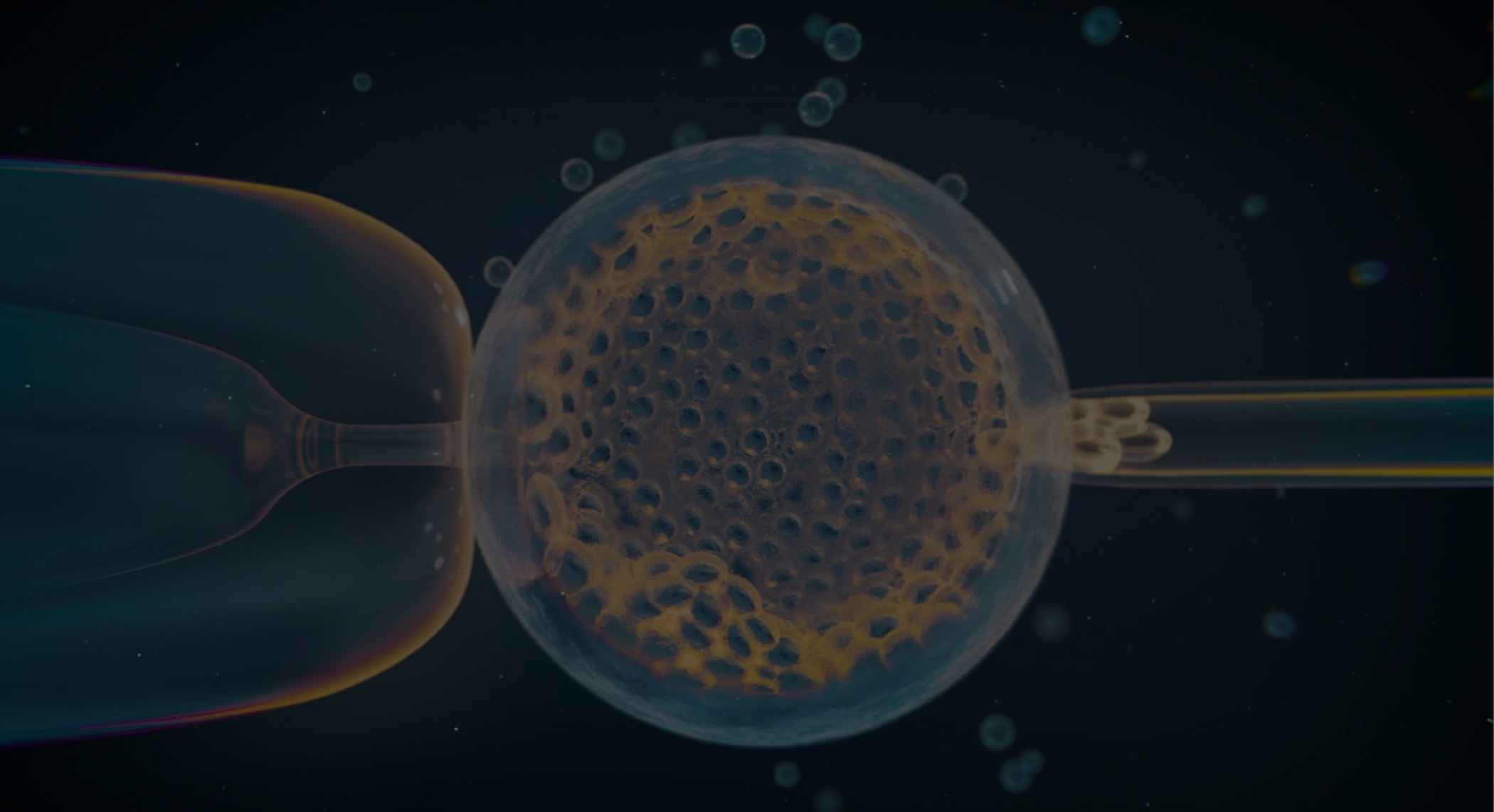 Credit: Thom Leach, Amoeba Studios