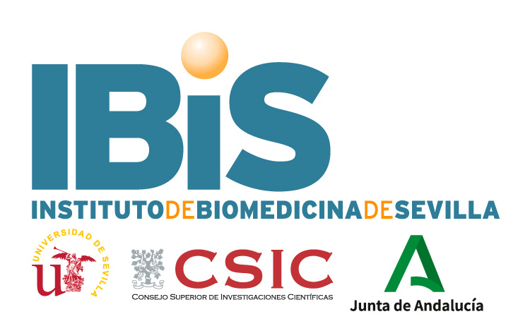 IBiS - Institute of Biomedicine of Seville