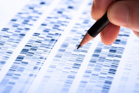 analysing the genome 