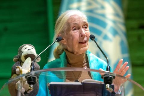 Jane Goodall