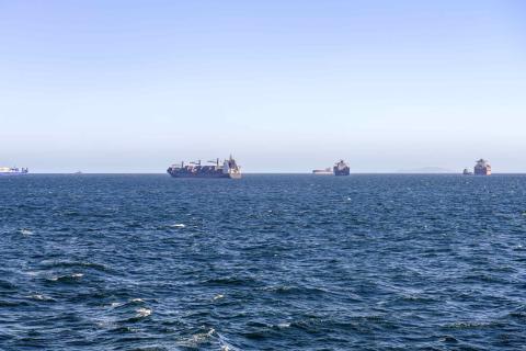 Barcos
