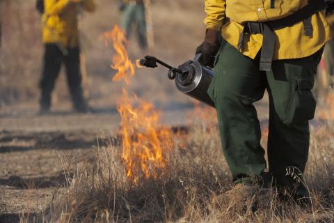 Controlled fire