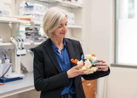 CRISPR Model