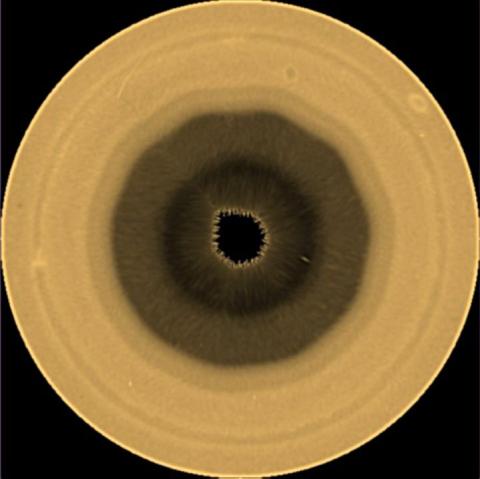 Saturno