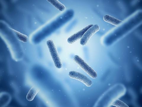 Microbioma