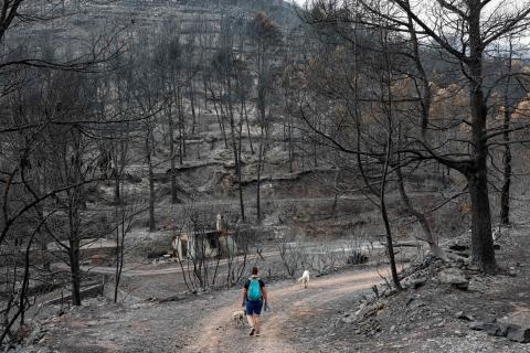 incendio