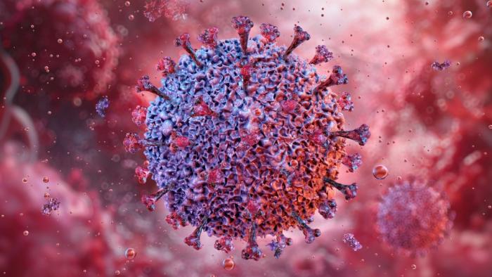 A study links the development of lupus to the Epstein-Barr virus Epstein Barr