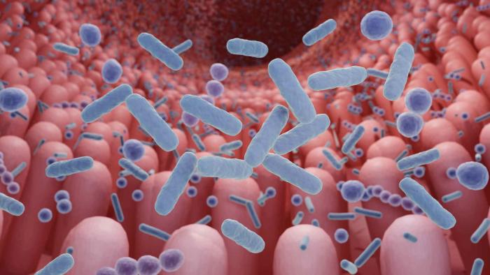 An opinion piece refutes studies linking gut microbiota and autism microbiome