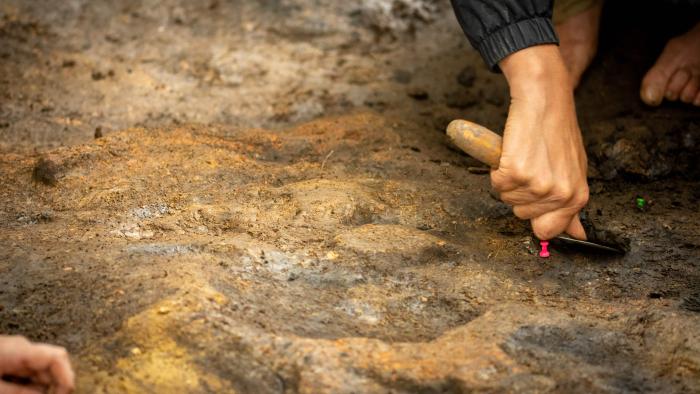 Evidence found that humans made fire 400,000 years ago excavation