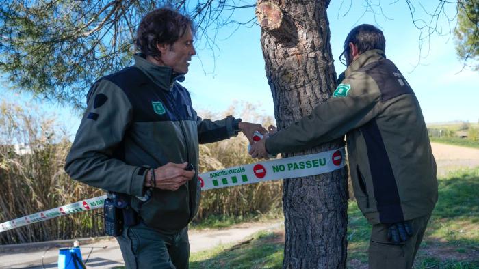 Imagen de archivo de agentes Rurales que refuerzan la señalización en los espacios naturales para contener la peste porcina africana. EFE/ Enric Fontcuberta 