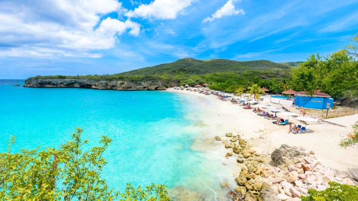 Un diminuto ser acuático de la costa caribeña es capaz de transicionar entre su forma unicelular y pluricelular por tres vías diferentes Costa de la isla caribeña de Curazao