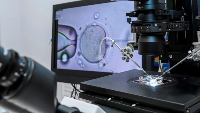 IVF