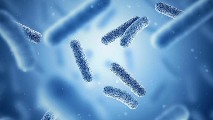 Microbioma
